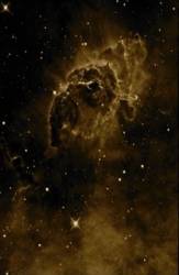 Yohualli : Yohualli (Live)